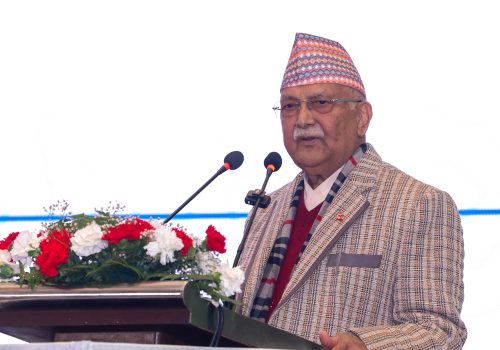 फलामखानी र मल कारखाना खुल्दैछ, ऊर्जा खपतको चिन्ता गर्नु पर्दैन : प्रधानमन्त्री