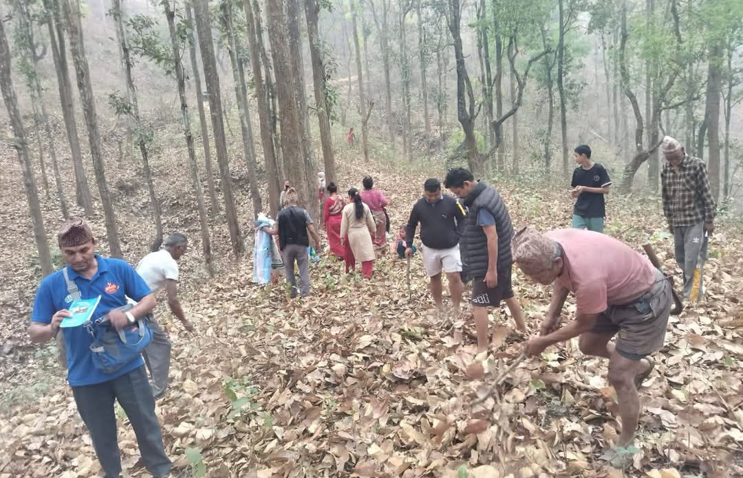 बेनीघाट रोराङमा वन डढेलो नियन्त्रणका लागि तालिम कार्यक्रम सम्पन्न