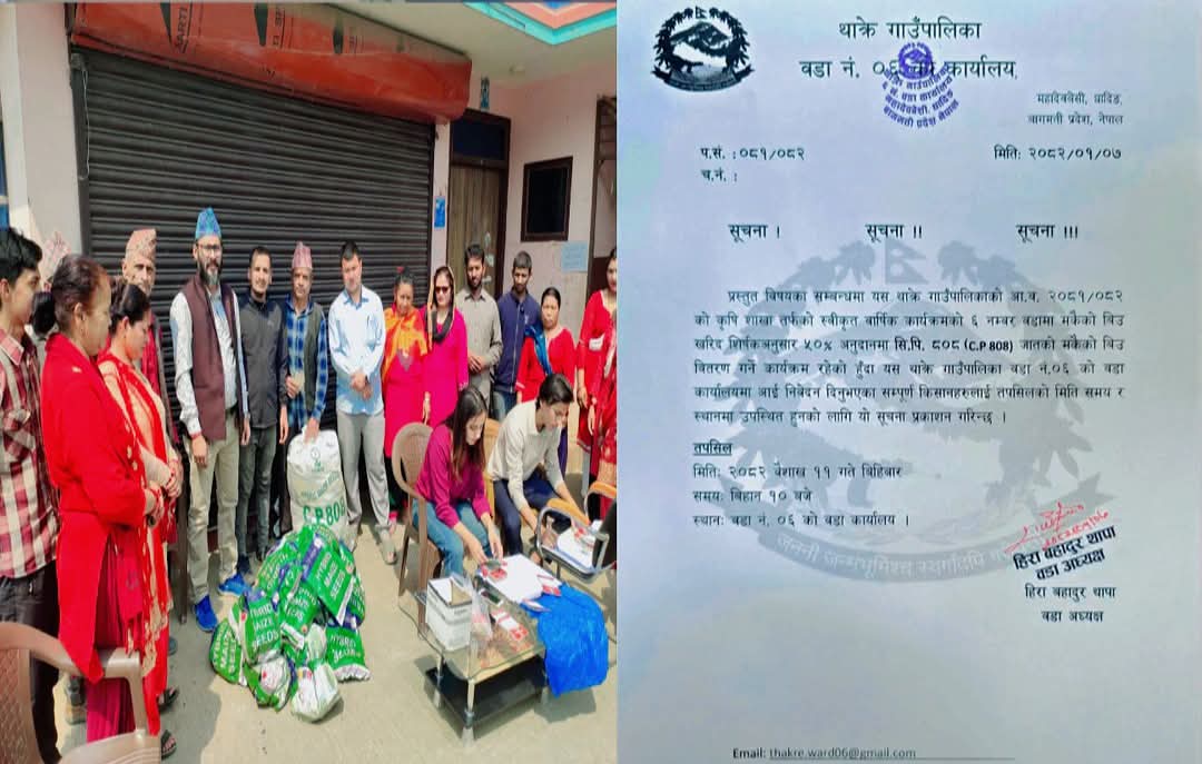 थाक्रे गाउँपालिका वडा नं. ६ मा मकैको बीउ वितरण हुने