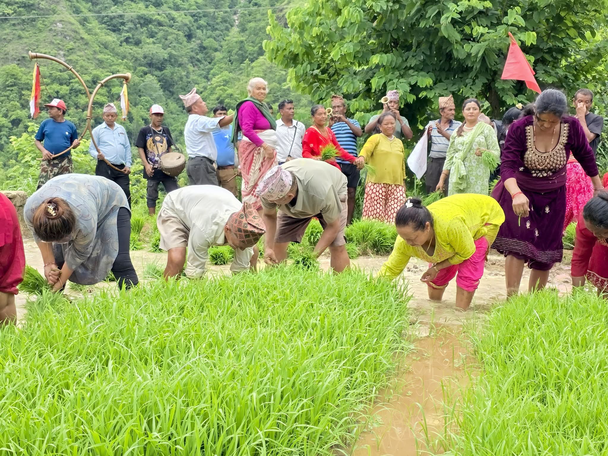 २२औँ राष्ट्रिय धान दिवसको अवसरमा बेनीघाट रोराङमा रोपाईं कार्यक्रम सम्पन्न