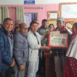 गजुरी-६ आदमघाटका मिजार दम्पतीले उब्जाए ७ फिट अग्लो १७ केजीको तरुल, पालिकाद्वारा सम्मान