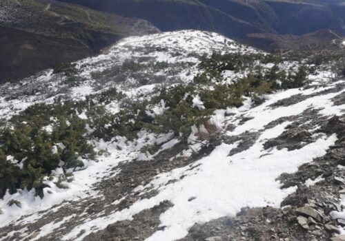 हिमपातले मुस्ताङका किसानलाई राहत